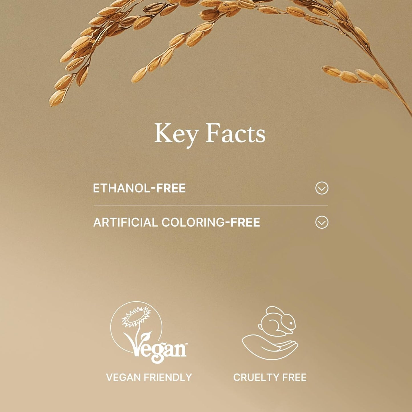 I'M FROM Rice Mask 110g Health & Beauty oceanbuy.ca markham toronto free ship USA asian korean skincare