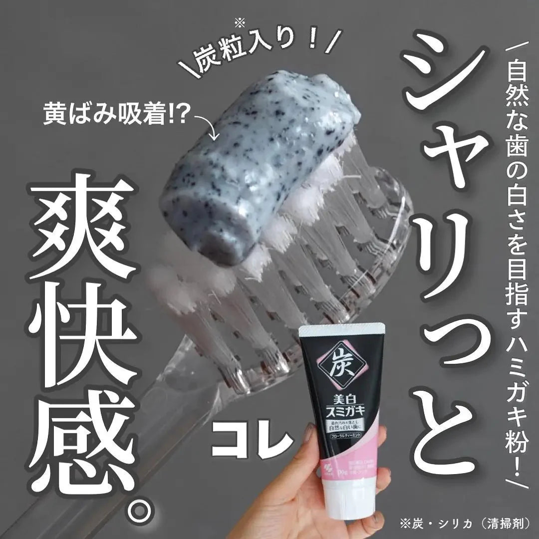 KOBAYASHI Charclean Charcoal Power Whitening Toothpaste 90g Health & Beauty