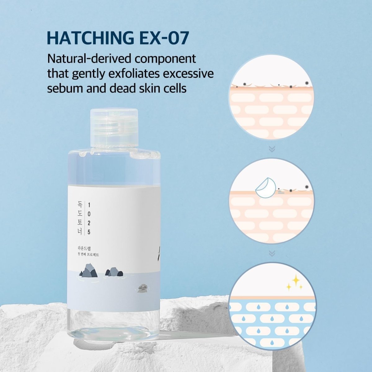ROUND LAB 1025 Dokdo Toner + Lotion Special Set 200m*2 Health & Beauty