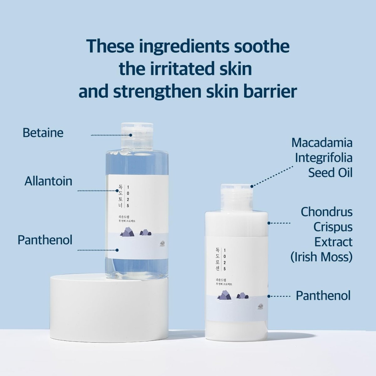 ROUND LAB 1025 Dokdo Toner + Lotion Special Set 200m*2 Health & Beauty