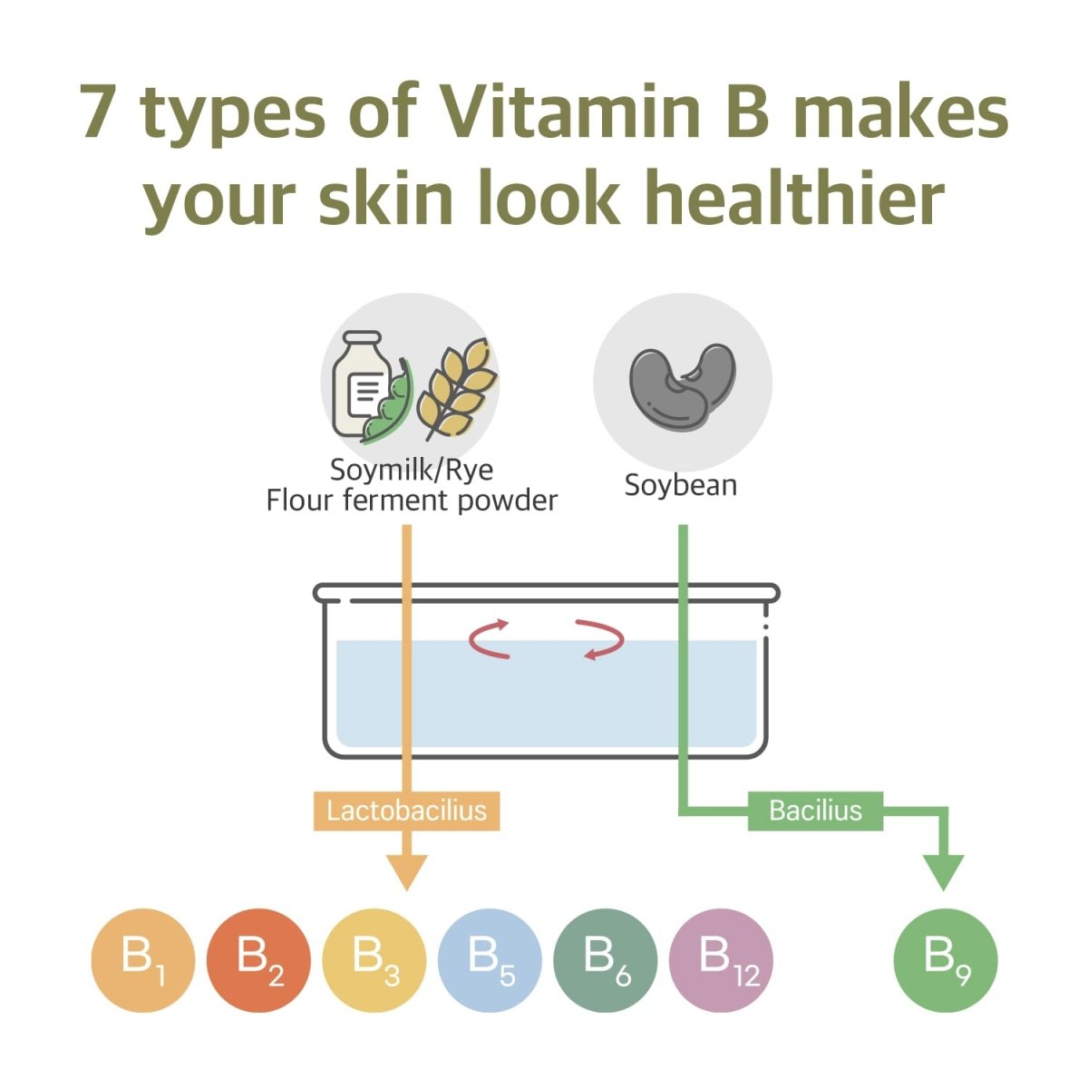ROUND LAB Soybean Serum 50ml Health & Beauty