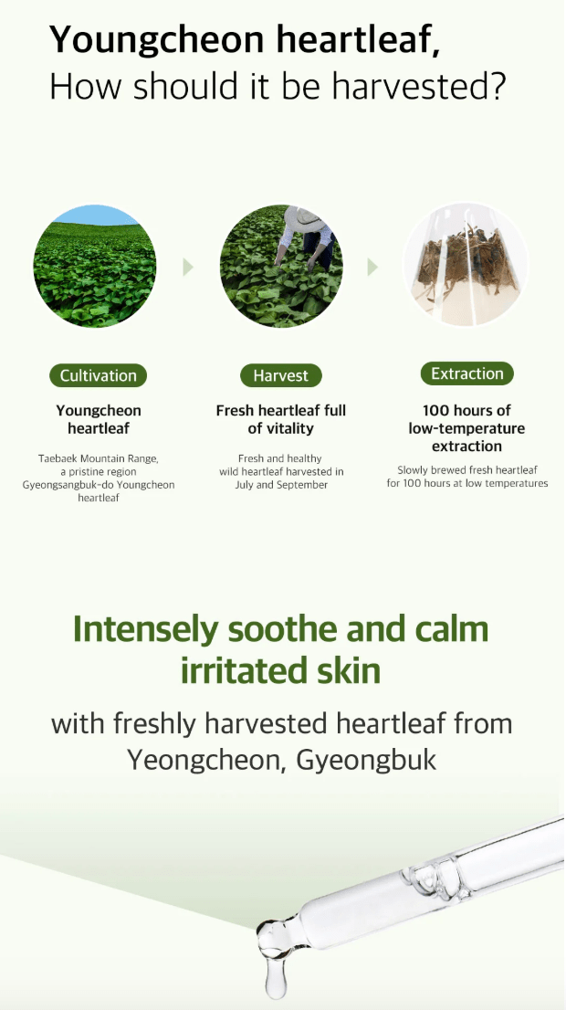 ARIUL 7 Days Mask 1Pcs - Heartleaf P Health & Beauty oceanbuy beauty markham toronto free ship USA asian korean skincare