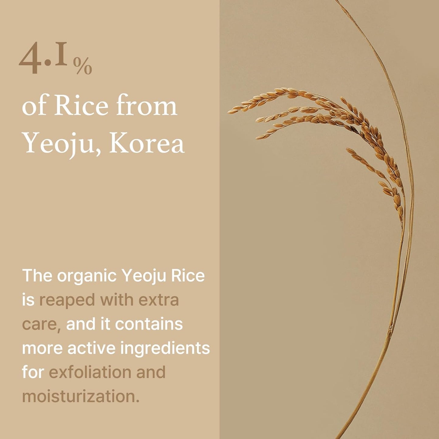 I'M FROM Rice Mask 110g Health & Beauty oceanbuy.ca markham toronto free ship USA asian korean skincare