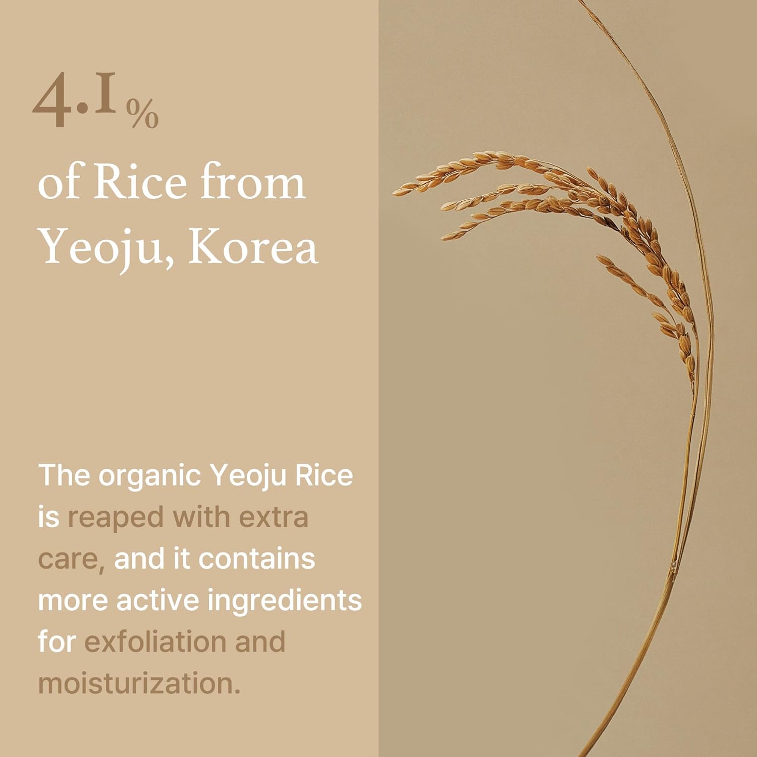I'M FROM Rice Mask 110g Health & Beauty oceanbuy.ca markham toronto free ship USA asian korean skincare