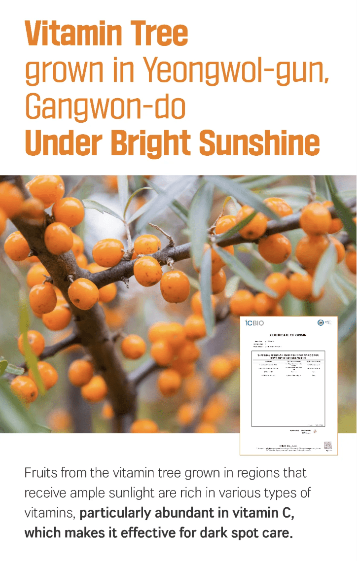 ROUND LAB Vita Niacinamide Dark Spot Cream 50ml Health & Beauty oceanbuy beauty markham toronto free ship USA asian korean skincare