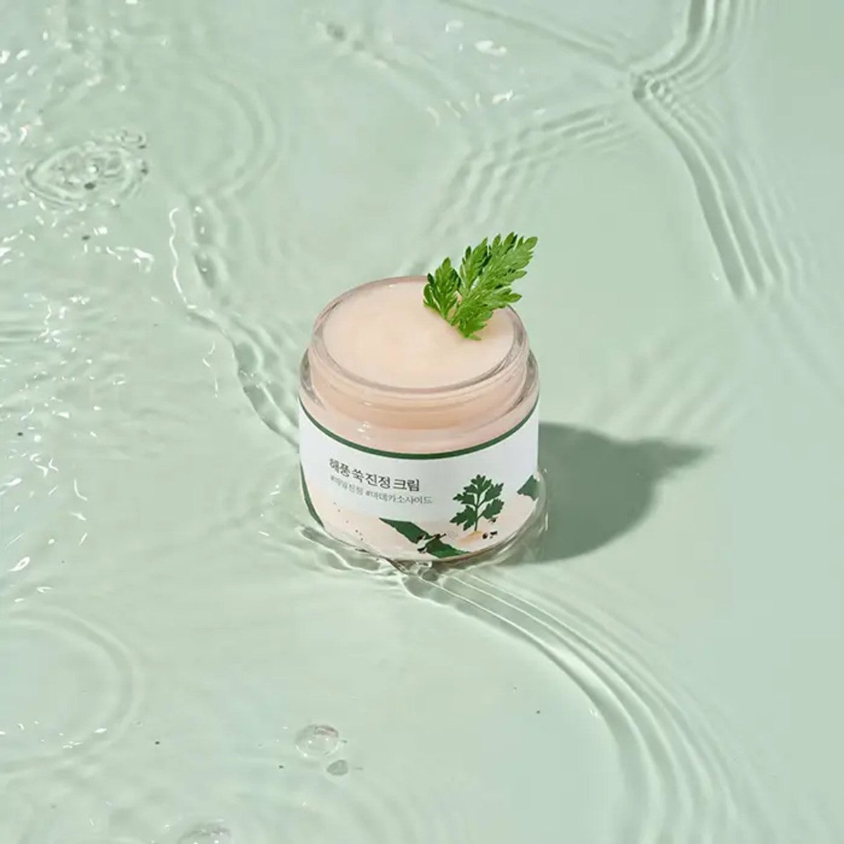 ROUND LAB Mugwort Calming Cream 80ml Health & Beauty